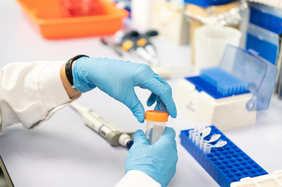 UPV rector jose esteban capilla roma